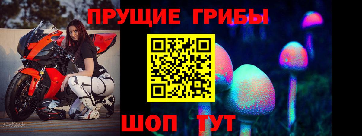 Узловая  где купить наркоту  Вход с VPN  Псилоцибиновые грибы GOLDEN TEACHER 