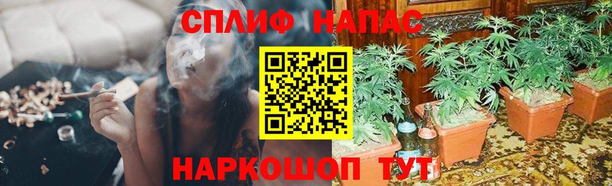 Бошки Шишки OG Kush Узловая